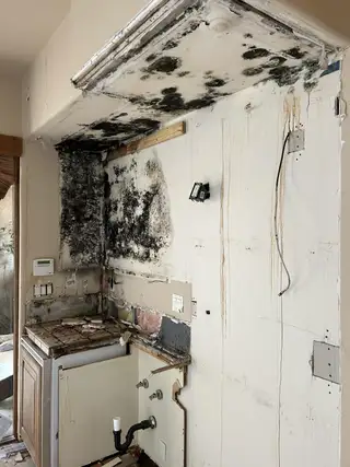 Black mold covering the drywall and ceiling soffit above a gutted sink cabinet