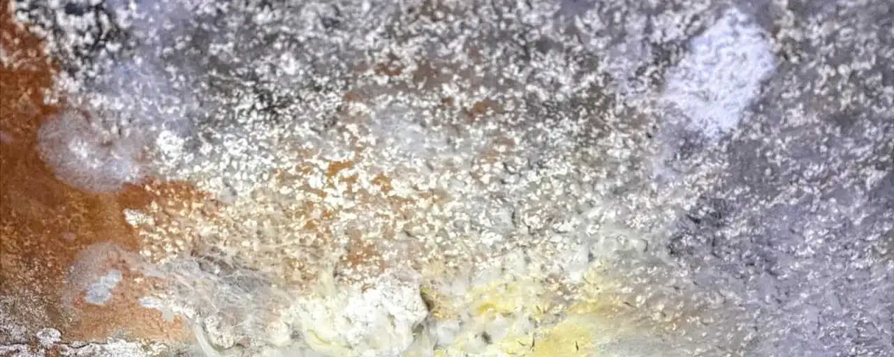 Mold growth on a ceiling above a window — Fast Track Restoration job photo