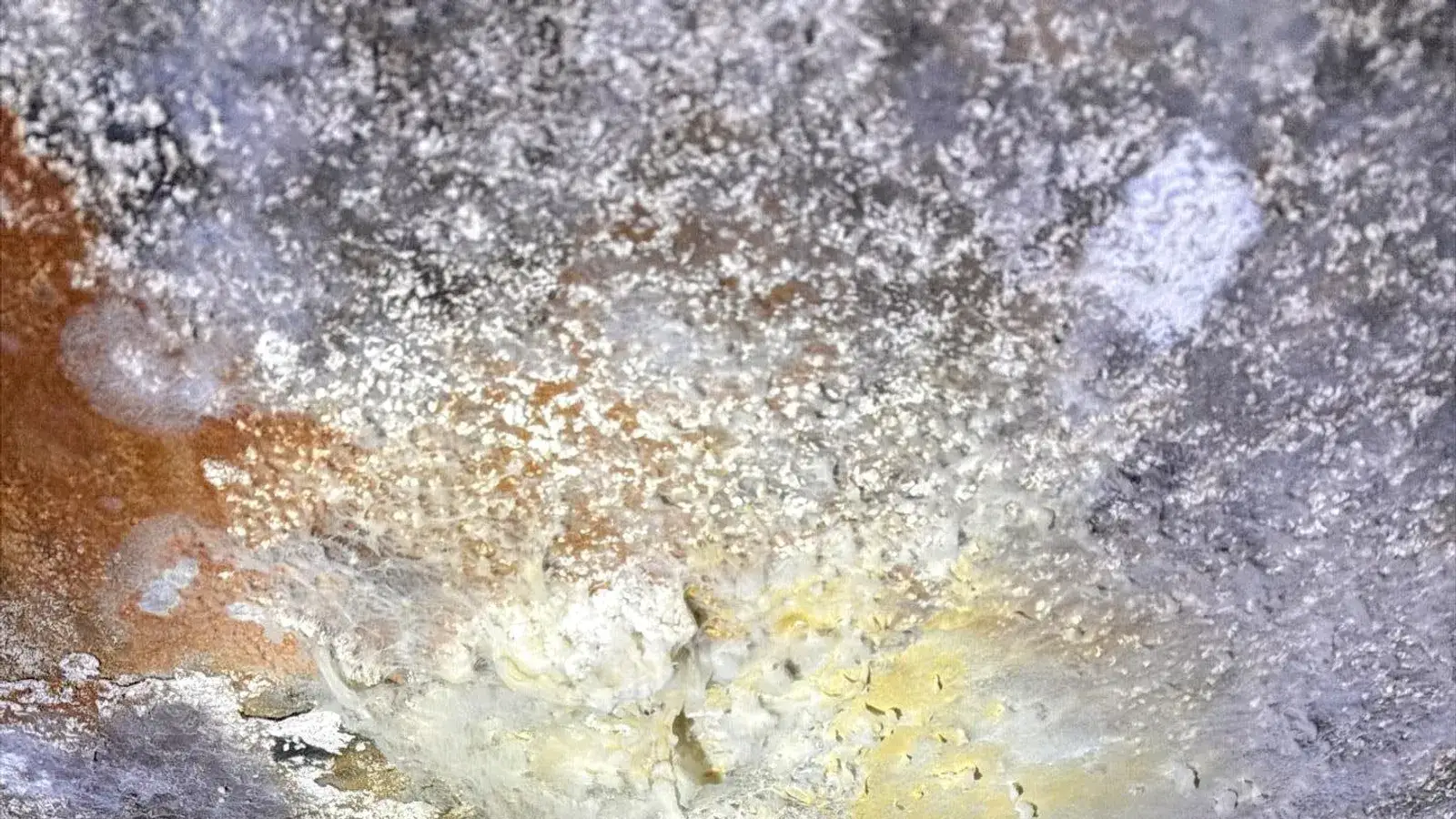 Mold growth on a ceiling above a window — Fast Track Restoration job photo