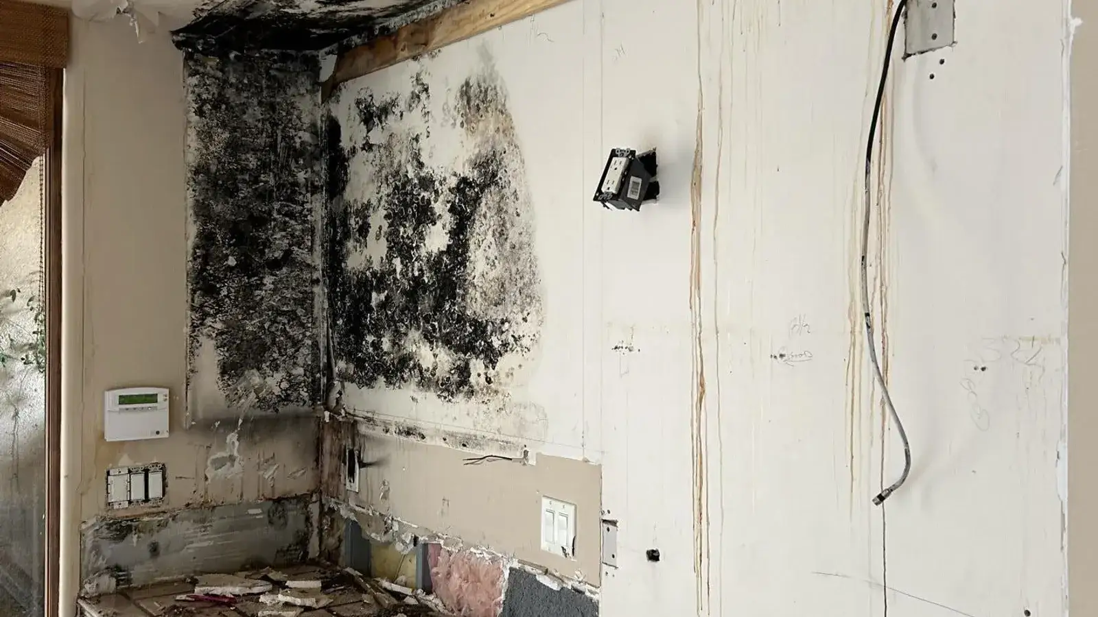 Mold on drywall beside a water heater — Fast Track Restoration job photo