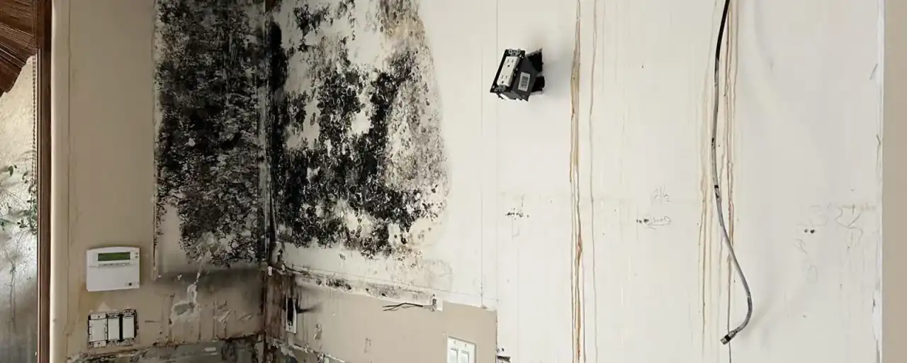 Mold on drywall beside a water heater — Fast Track Restoration job photo
