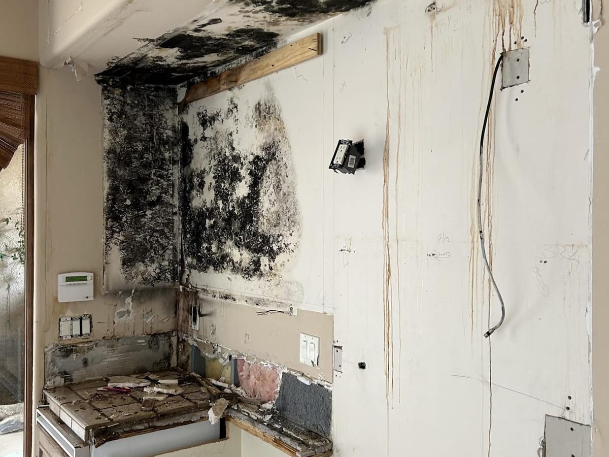 Hidden water damage and mold found behind a wall near a water heater